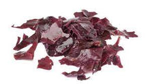 Load image into Gallery viewer, Irish Sea Moss Powder |100% Organic Atlantic Dulse| Chondrus Crispus |Palmaria Palmata
